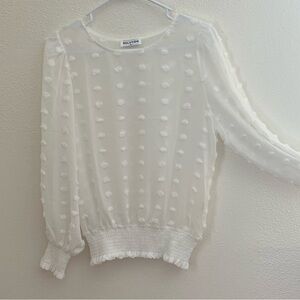 Sheer White Swiss Dot Long Sleeve Blouse with Smocked Hem